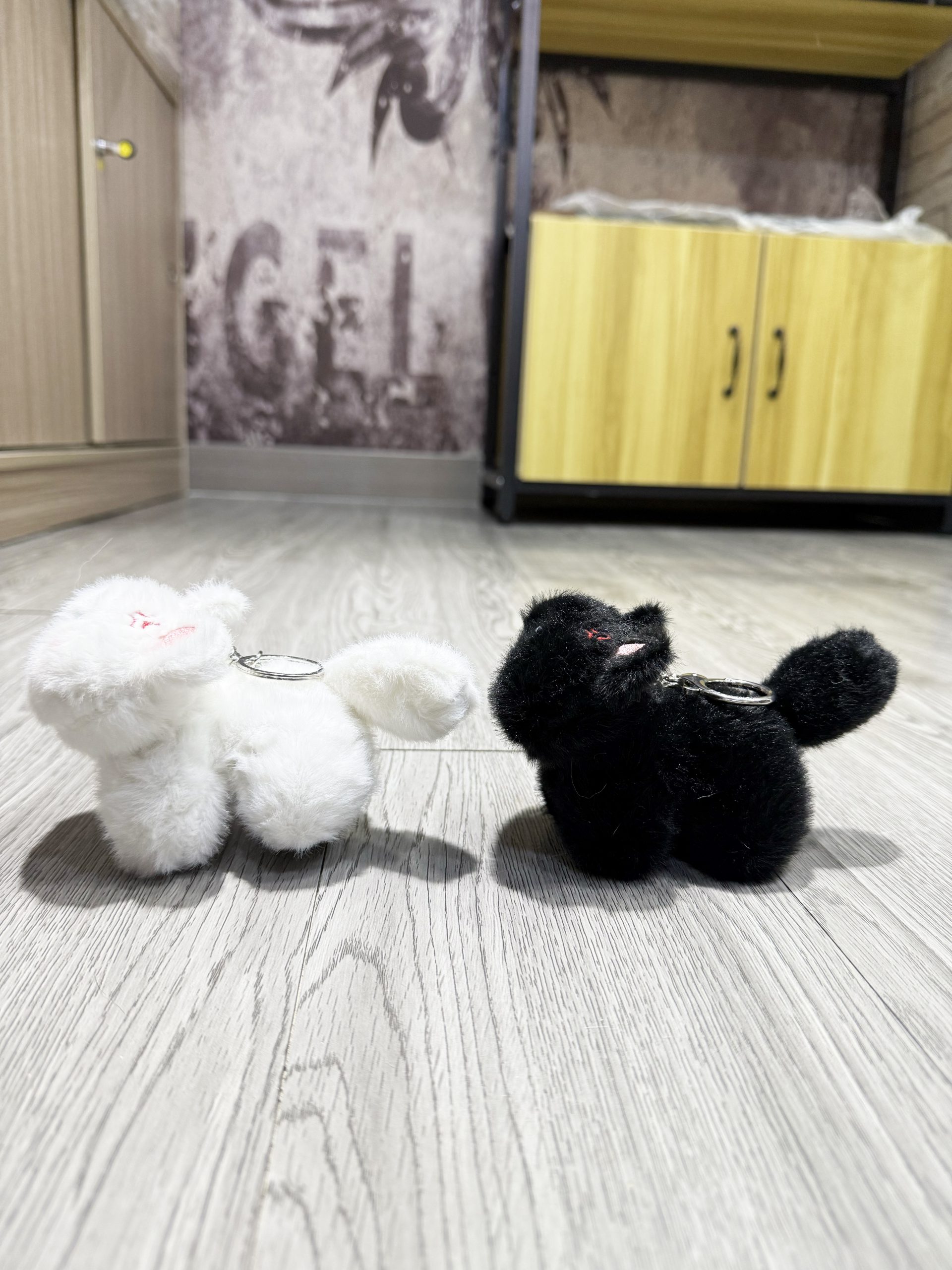 IMG_3263副本 拷貝