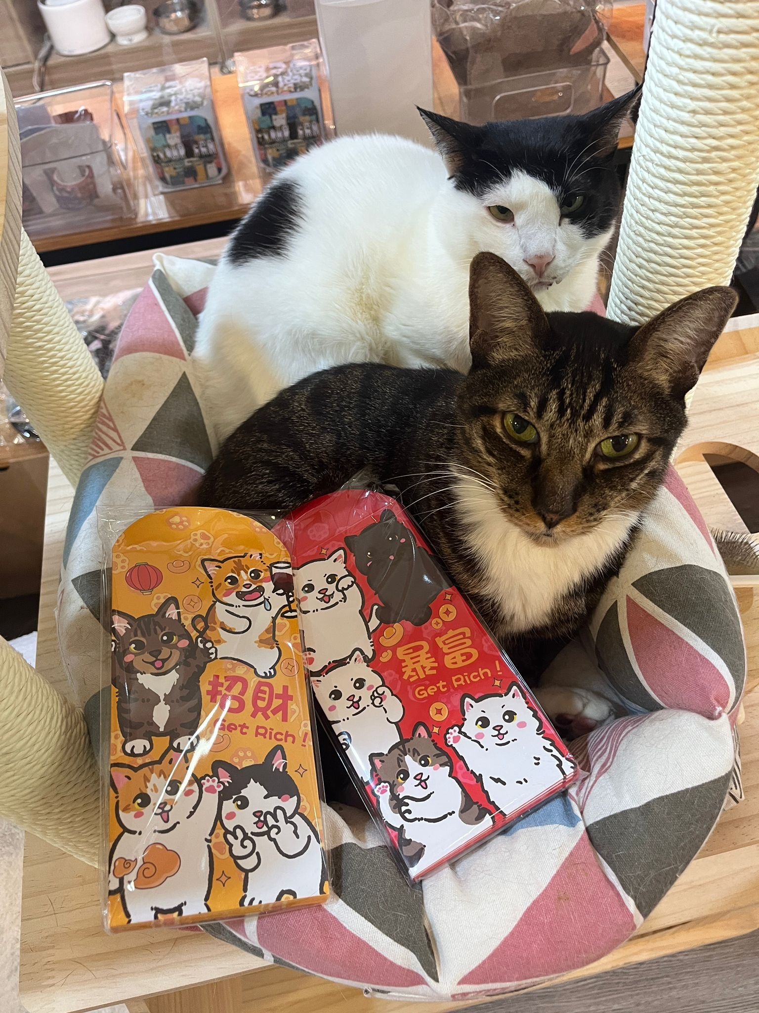 b2a3ad2d-463d-4075-989b-58789370d8c9